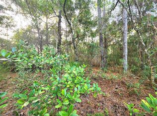 0 Canyon Swallow Rd #11, Brooksville, FL 34614