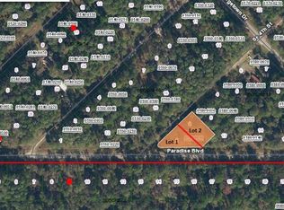 SE 4th St LOT 2, Georgetown, FL 32139