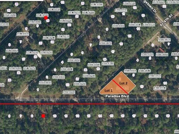 SE 4th St Lot 2, Georgetown, FL 32139