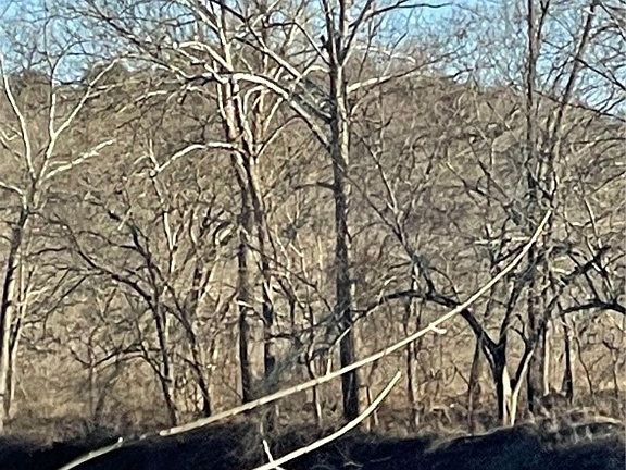 4th image of County Road 4171 #4