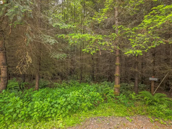 Grand Ridge Rd Lot 16, Toutle, WA 98649