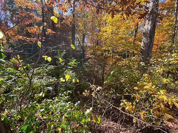 3rd image of 725 Peterson Ln