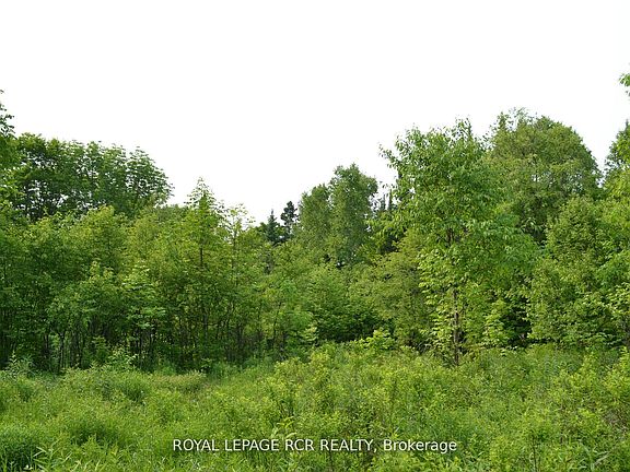 5th image of 1527 Madill Rd