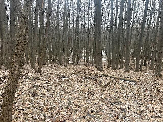 1st image of 9735 Pere Marquette Dr