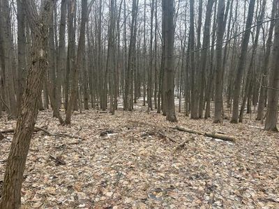9735 Pere Marquette Dr, Stanwood, MI, 49346