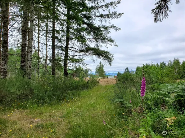 0 XX W Matlock Brady Road, Elma, WA 98541
