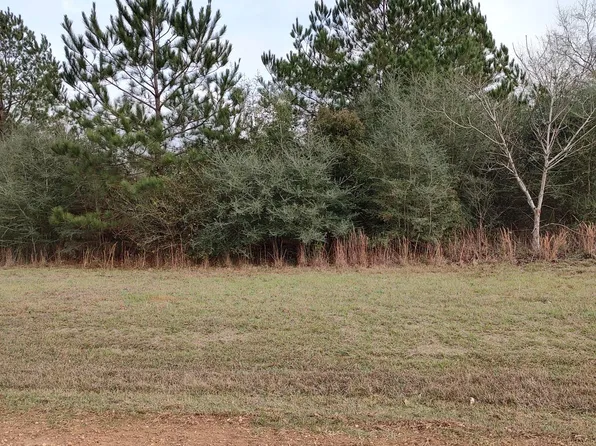 Nhn N Resort Dr, Lumberton, MS 39455