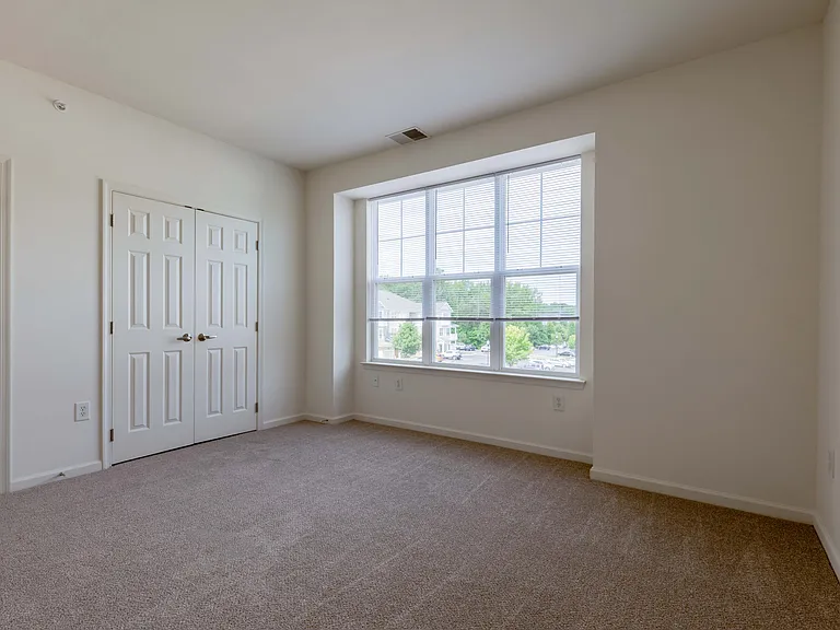 Plush Wall-to-Wall Carpeting