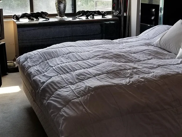 Master Bedroom with two closets: one is large customized walk-in closet. Plenty of storage space for your clothes and shoes! Very spacious bedroom that fits any size bed (King bed in this photo).