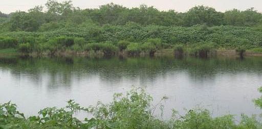 1st image of TRACT 1 CR 326
