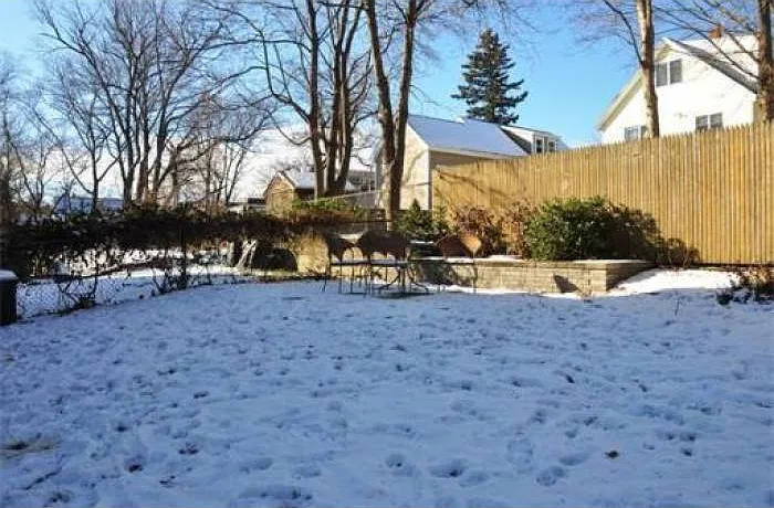 Back Yard with Patio