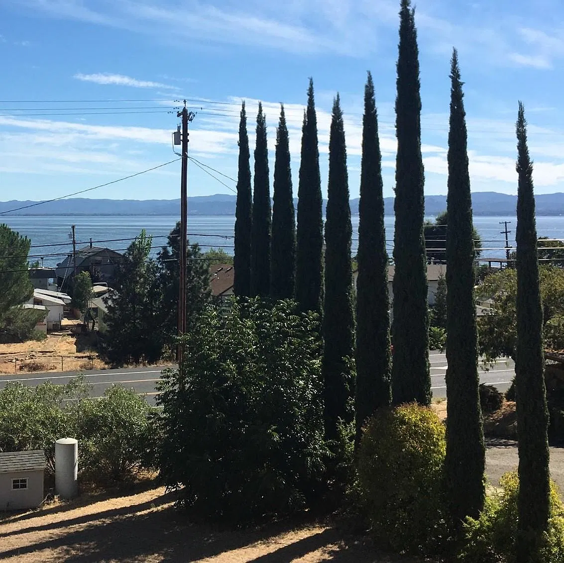 3 bed, 1600 sqft, $2,000 — Photo 3