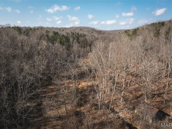 0 County Road 404 #2, Ellington, MO 63638