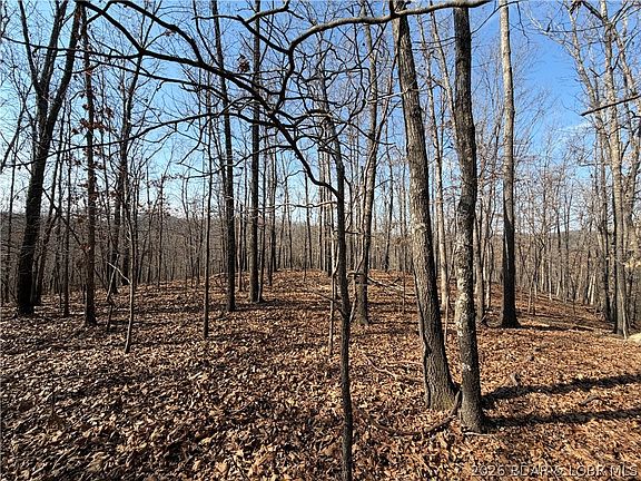 4th image of Copperhead Holler