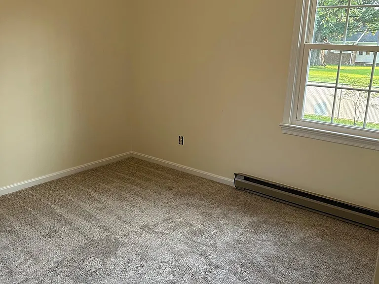 39685 Lady Baltimore Ave — Photo 12