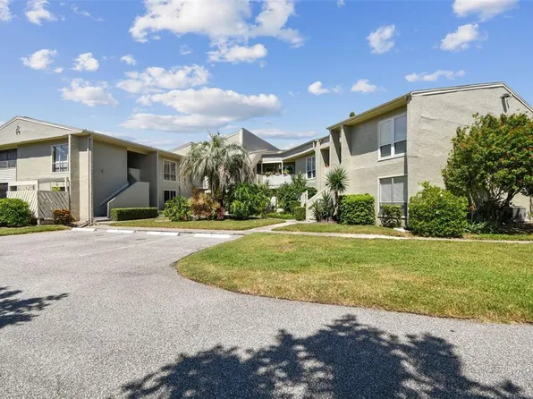 424 Windrush Bay Dr, Tarpon Springs, FL 34689