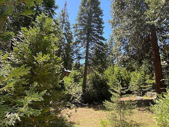 5th image of Cold Springs Ln Lot 22