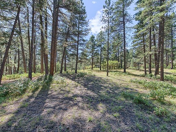 4th image of 7386 Poncho Cir
