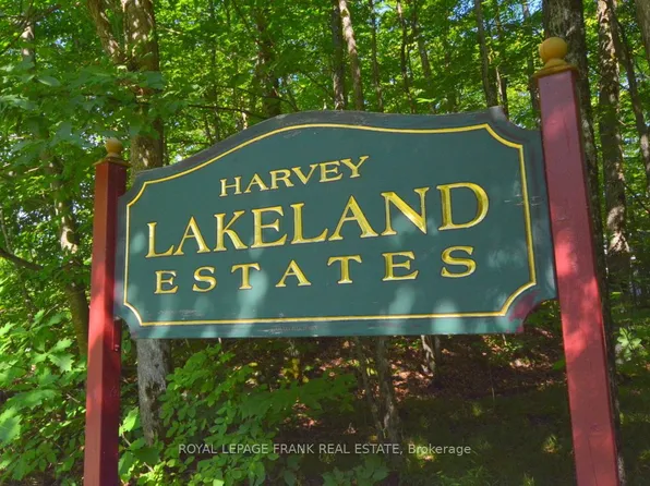 0 Hall Dr, Trent Lakes, ON K0L 1J0