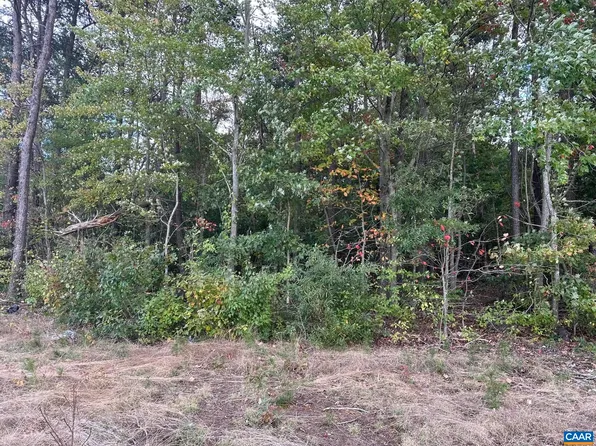 LOT 4 Constitution Hwy, Orange, VA 22960