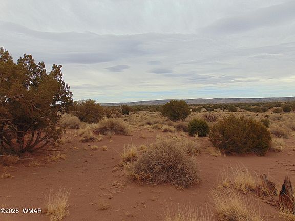 4th image of N #N5576