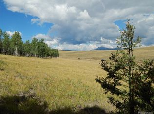 230 Tapedero Rd #608, Hartsel, CO 80449