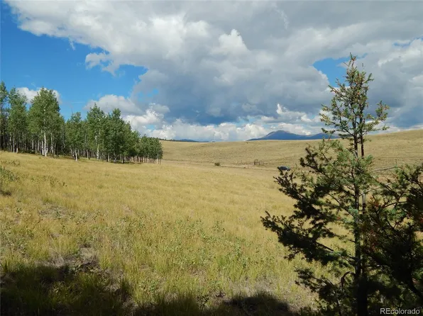 230 Tapedero Road LOT 608, Hartsel, CO 80449