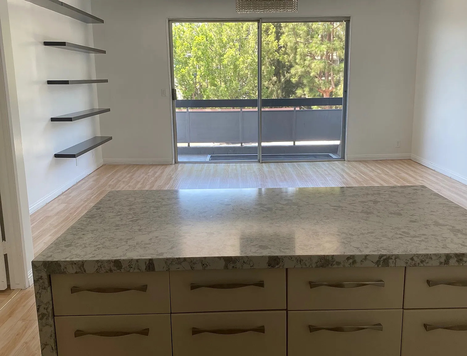 2 bed, 1284 sqft, $4,300 — Photo 4
