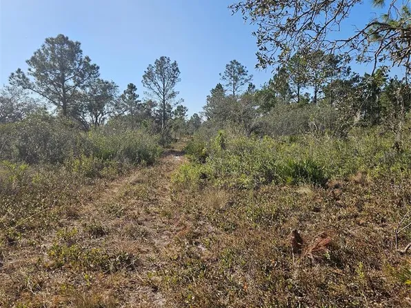 Sugarfoot Ave, Lake Wales, FL 33859