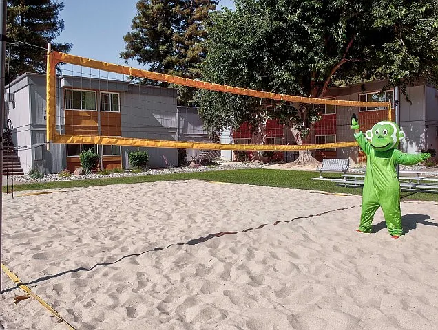 Volleyball