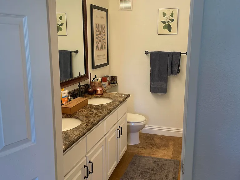Full primary bathroom with ample storage under sinks and in-wall cabinet next to the shower/bath to the right. Artwork on walls, towels, bath mat, and rug provided.