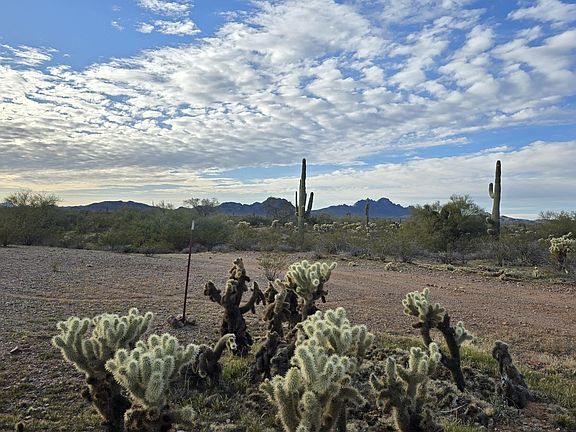 5th image of 308XX W Joy Ranch Road #-