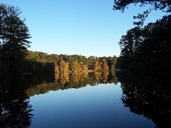 Fall colors on the lake.