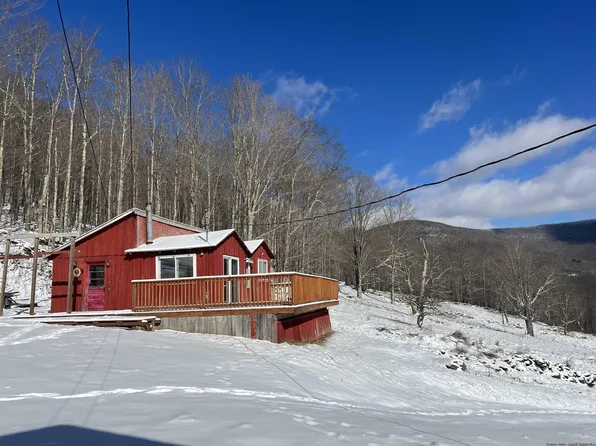 2261 Red Kill Road, Roxbury, NY 12480