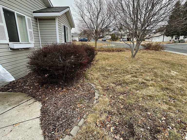 Front yard