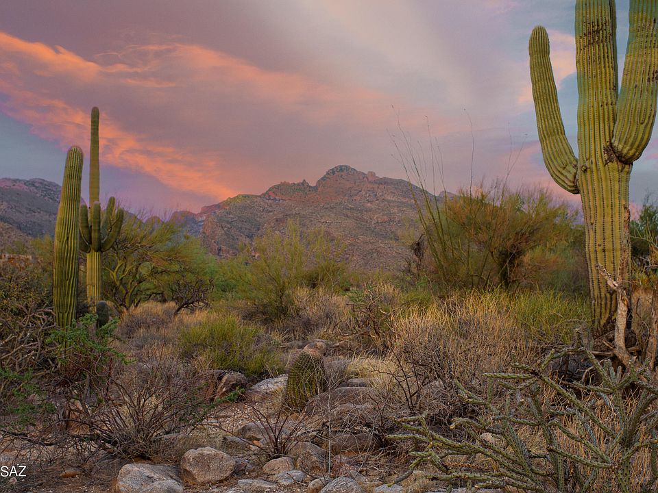 1st image of 1307 E Desert Garden Dr #138