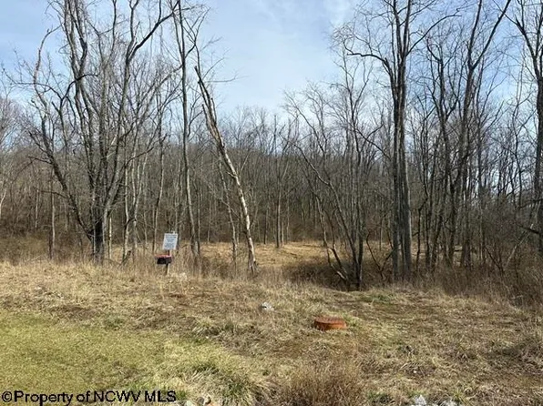 0 Stonehurst Dr, Morgantown, WV 26501