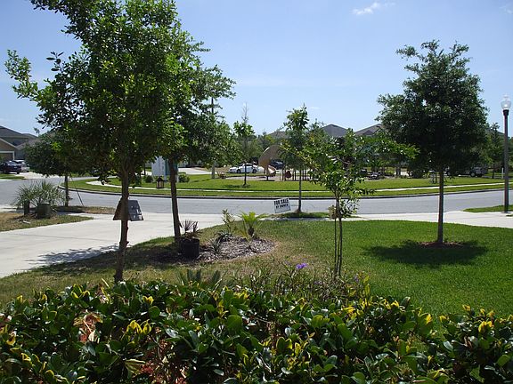 View from Front Porch