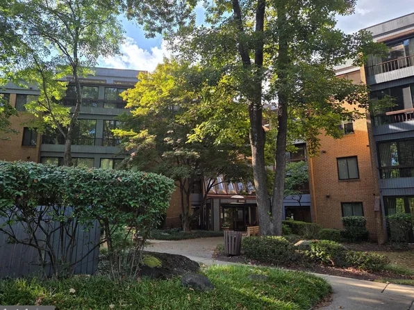 6350 Red Cedar Pl Unit 309, Baltimore, MD 21209