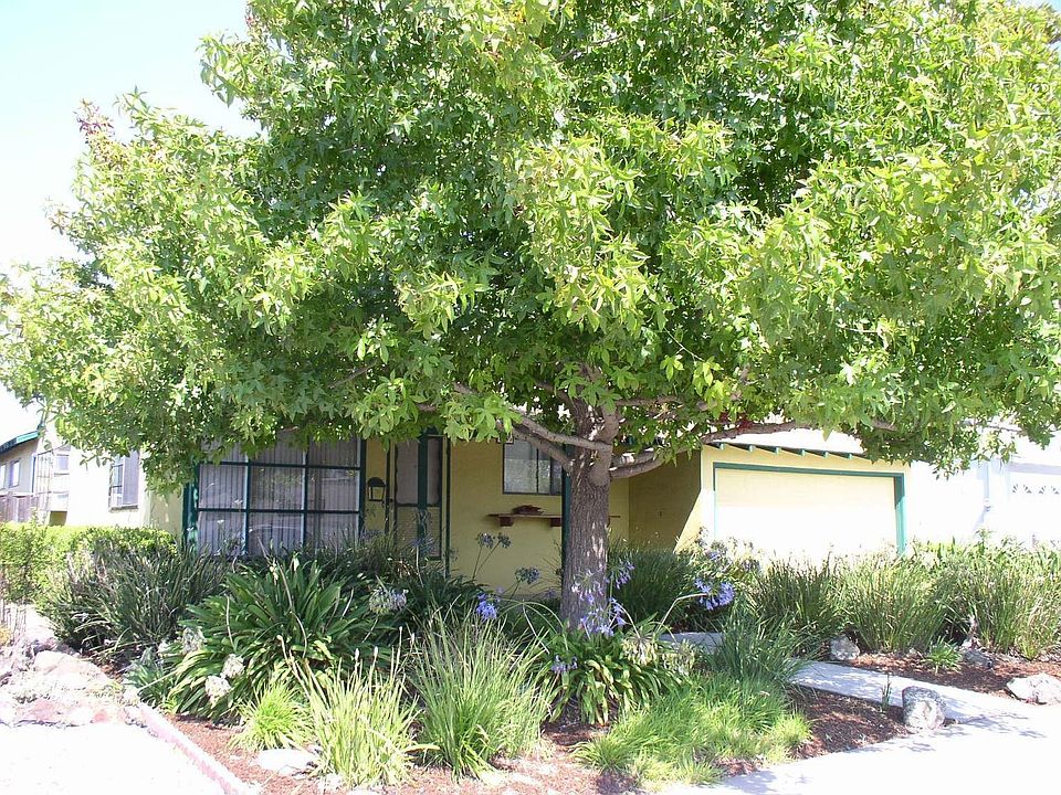 Grabs Your Attention