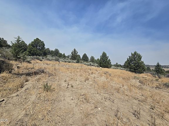 5th image of Drews Rd #7