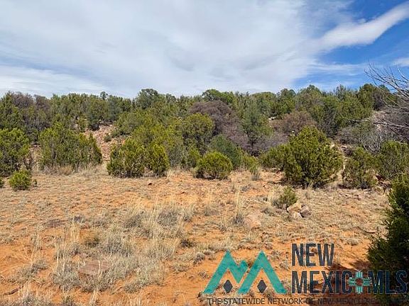 2nd image of 40 Acres Off Cres #B-29
