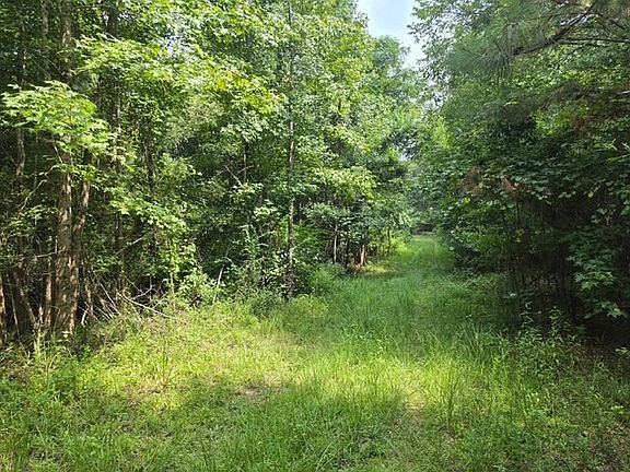 5th image of 0 Nichols Ln