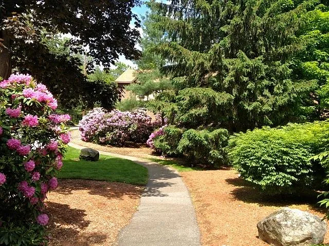 Grounds