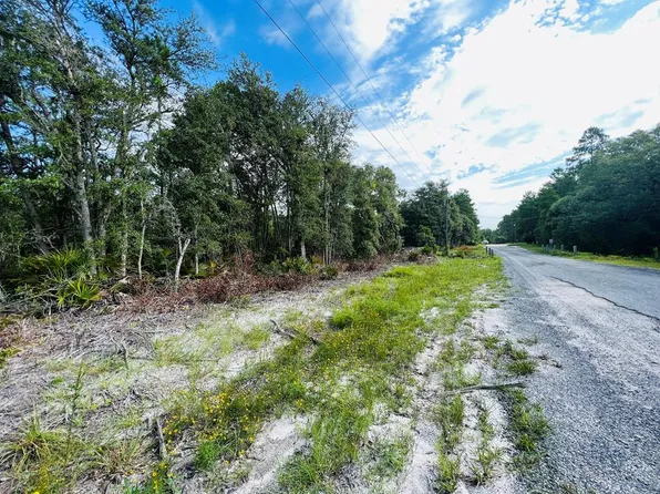 Lot 125 NE Oak Pond Cir, Steinhatchee, FL 32359