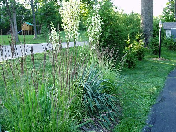 Corner of Mannig & Kodiak