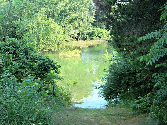 3rd image of LOT 31 Lakewood Dr