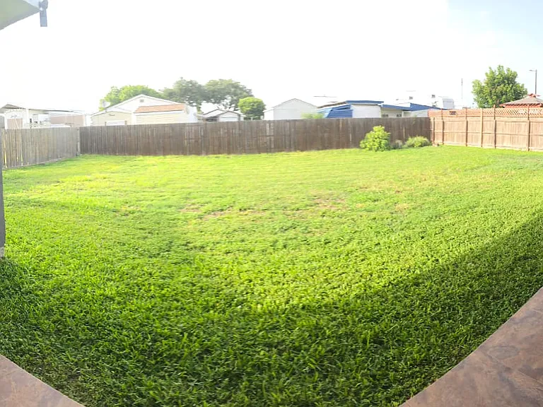 Back yard