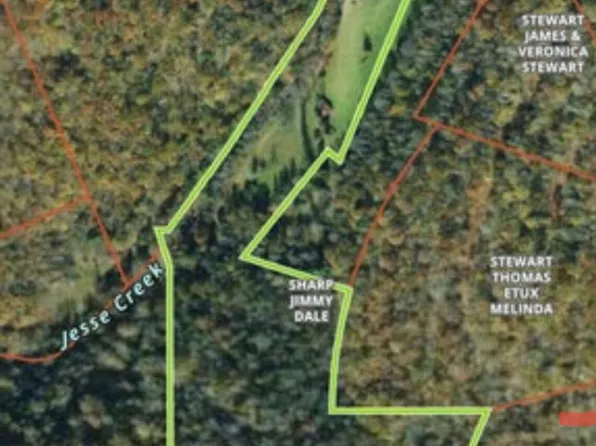 Stewart Ln #S/o, Pall Mall, TN 38577