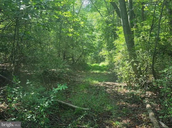 Terrys Rd Lot 35A, Berkeley Springs, WV 25411